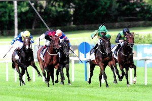 Landfall Horse Ken Condon