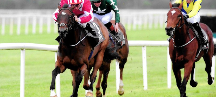 Mamba Noire lives up to&nbsp;hype