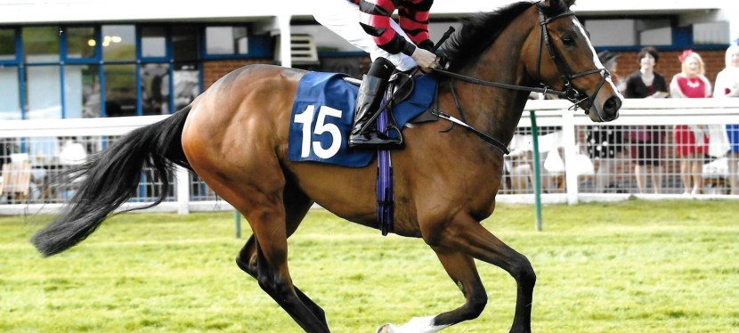 Newsletter stars at&nbsp;Nottingham