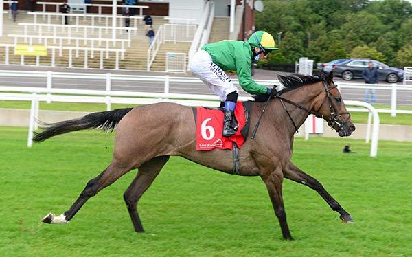 Condon doing well with his&nbsp;juveniles